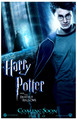Deathly Hallows Poster - harry-potter photo