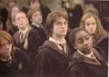 Harry Potter  - harry-potter photo