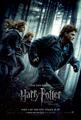 Hi-res Harry, Ron, & Hermione on the run Deathly Hallows: Part I poster - harry-potter photo