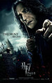 Poster - HP & the Deathly Hallows - harry-potter photo