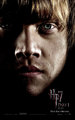 Ron poster - harry-potter photo