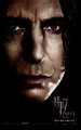 Snape poster - harry-potter photo