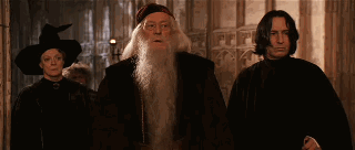  Albus Dumbledore is Judging anda