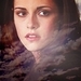Bella - twilight-series icon