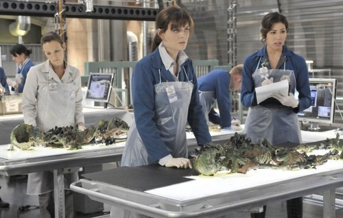  bones - Episode 6.06 - The Shallow in the Deep - Promotional foto