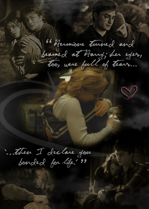 http://images4.fanpop.com/image/photos/16100000/Harmony-Fan-Art-harry-and-hermione-16122693-500-700.jpg