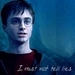 Harry Potter and the Order of the Phoenix - harry-potter icon