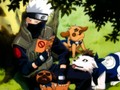 Kakashi and his dogs - naruto photo