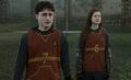 Quittage - harry-potter photo