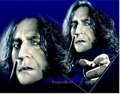 Severus DH Collage - severus-snape fan art