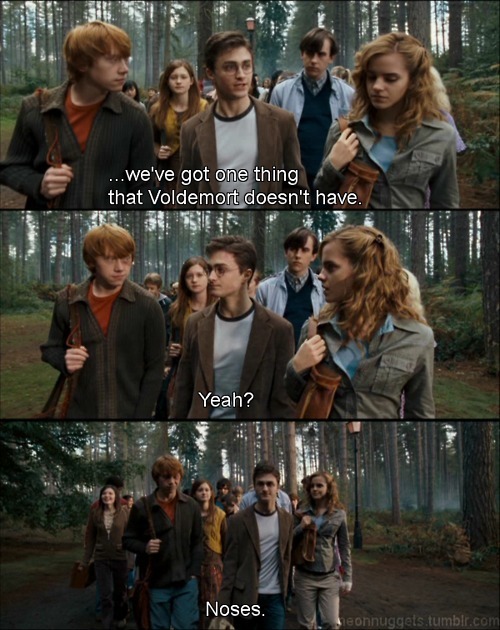 Something Voldie doesn't have - harry-potter-vs-twilight photo