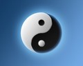 Yin and yang - akimamg photo