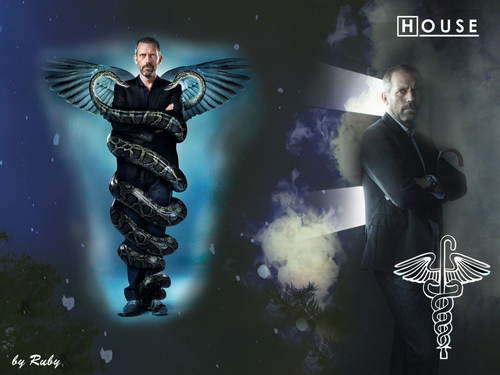 house md wallpaper