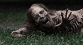 1x01 Promotional Photos - the-walking-dead photo