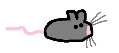  A 쥐, 마우스 i drew :)