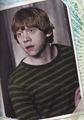 Deathly Hallows Calender - harry-potter photo