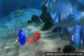 Gifs from Gifsoup.com - finding-nemo photo