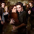 The Cullen's - twilight-series fan art