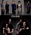 The Cullen's - twilight-series fan art