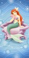The Little Mermaid  - the-little-mermaid photo
