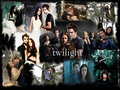 twilight-series - twi moment wallpaper