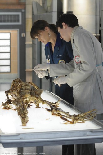  Bones - Episode 6.07 - Babe in the Bar - Promotional picha