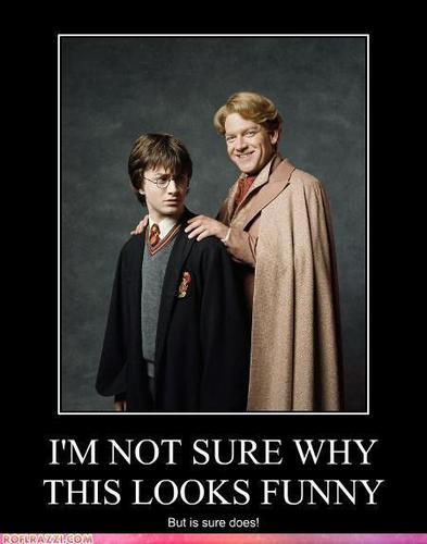  Funny Harry Potter picture