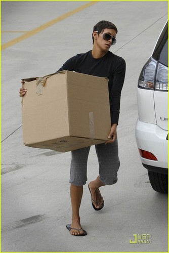  Halle Berry: Out of the Box