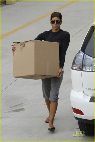  Halle Berry: Out of the Box