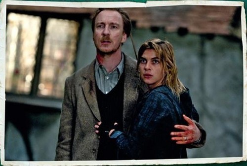 Lupin Tonks Deathly Hallows pic