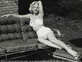 Marilyn Monroe  - marilyn-monroe wallpaper