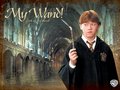 ronald-weasley - Ronald Weasley wallpaper