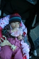 baby Renesmee in her stroller - renesmee-carlie-cullen photo