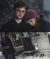 dh - harry-potter photo