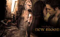 edward-and-bella - *•~-.¸,.-~*Edward&Bella*•~-.¸,.-~* wallpaper