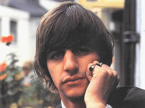 Handsome Ringo