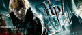 Ron Banner - harry-potter photo