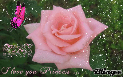  Beautiful Rose for a Beautiful Princess