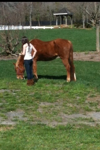 Caitlin And Her Horse