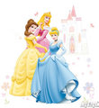Disney Princess  - disney-princess photo