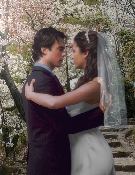 vampire diaries damon and elena. Elena and Damon#39;s wedding
