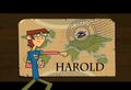Harold wallpaper - total-drama-island photo