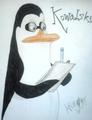 Kowalski workin  - penguins-of-madagascar fan art