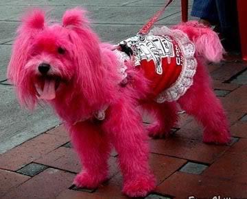 Loving the pink :)