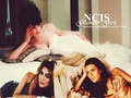 ncis - NCIS Glamour Girls Past & Present wallpaper