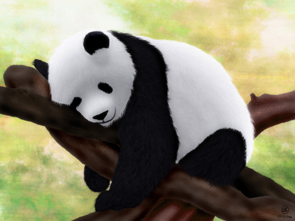 Pandas - Pandas Wallpaper (16573424) - Fanpop