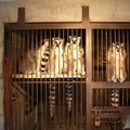 Poor Lemurs! - against-animal-cruelty photo