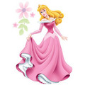 Princess Aurora  - princess-aurora photo