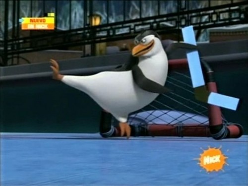  Rico The chim cánh cụt
