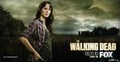 Sarah Wayne Callies as Lori - the-walking-dead photo